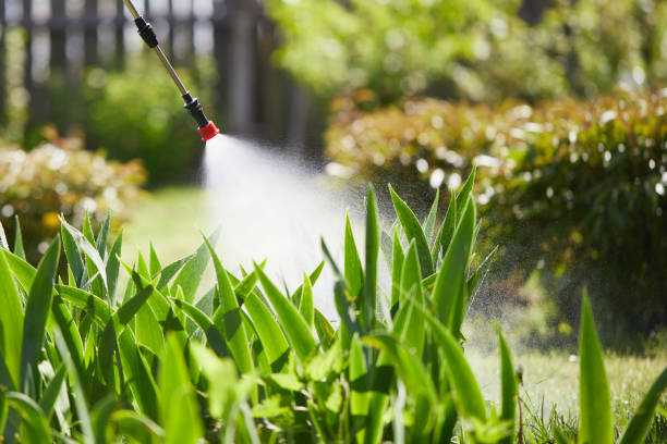 24/7 Emergency Cockroach Control experts in Green Forest, AR